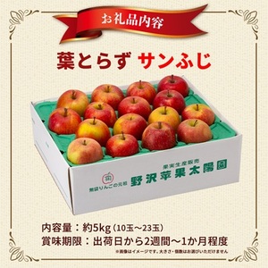 青森市産りんご「葉取らずサンふじ」約5kg(家庭用)_果物・フルーツ りんご リンゴ 林檎_【配送不可地域:離島・沖縄県】【1272641】