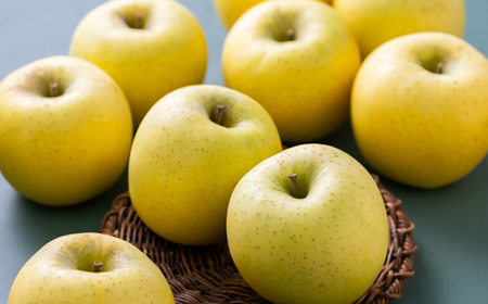 青森市産りんご「シナノゴールド」約5kg(家庭用)_果物・フルーツ りんご  リンゴ 林檎_【配送不可地域：離島・沖縄県】【1272642】