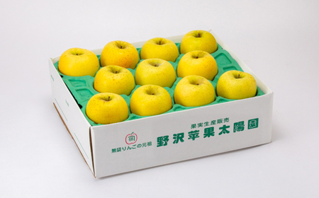 青森市産りんご「シナノゴールド」約5kg(家庭用)_果物・フルーツ りんご  リンゴ 林檎_【配送不可地域：離島・沖縄県】【1272642】