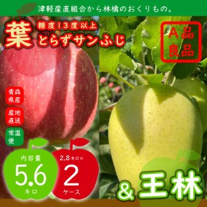 2品種おまとめ直送♪A品 糖度13度以上 葉とらずサンふじ&王林 計5.6キロ 青森県産林檎【1324582】