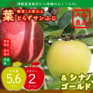 2品種おまとめ直送♪A品 糖度13度以上 葉とらずサンふじ&シナノゴールド 5.6キロ 青森県産林檎【1324627】