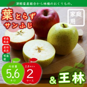 2品種おまとめ直送♪家庭用 葉とらずサンふじ&王林 計5.6キロ 津軽産直組合の青森県産林檎【1326540】