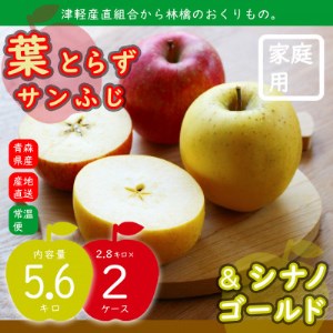 2品種おまとめ直送♪家庭用 葉とらずサンふじ&シナノゴールド 5.6キロ 津軽産直組合の青森県産林檎【1326545】