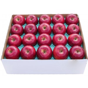 りんご 紅玉 家庭用 約5kg_果物・フルーツ りんご  リンゴ 林檎_【配送不可地域：離島・沖縄県】【1331541】