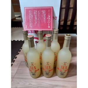 100%青森県産りんごジュース 720ml×6本【1319796】
