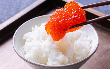 ポートの活き造り一夜漬け 360g(120g×3パック)_魚介・海産物 魚卵 _【配送不可地域:離島】【1372224】