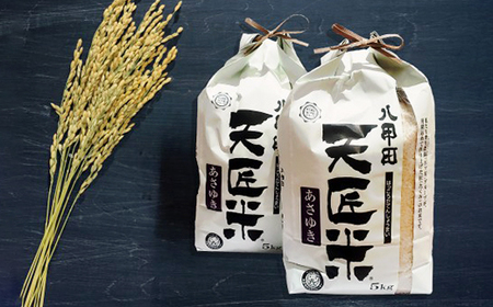 あさゆき5キロ×2袋_ 精米 米 _【1394107】