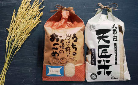 青天の霹靂、あさゆき各5キロ食べ比べセット_ 精米 米 _【1394109】