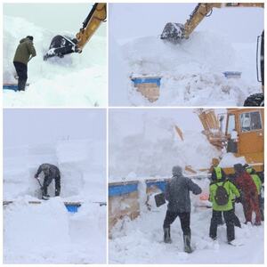 【2026年3月発】希少なりんご!　青森雪貯蔵りんご(サンふじ)　3kg箱【離島・沖縄配送不可】_果物・フルーツ りんご  リンゴ 林檎_【配送不可地域：離島・沖縄県】【1423601】