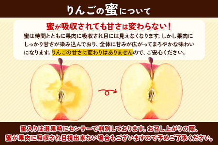  【25年12月発送】りんご 蜜入り 13度糖度保証【贈答用】葉とらずふじ 約5kg