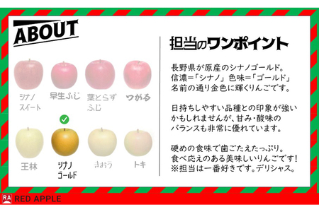 りんご【訳あり】家庭用 シナノゴールド 約5kg