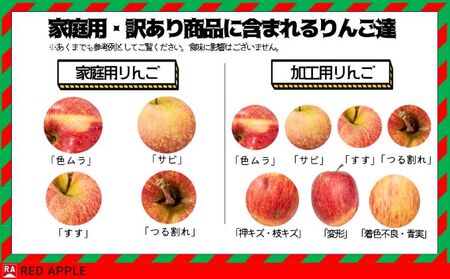 順次発送】 ジュース用 加工用 訳あり りんご 約10kg【弘前市産・青森