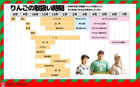 順次発送】 ジュース用 加工用 訳あり りんご 約10kg【弘前市産・青森