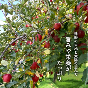 【定期便】無添加ストレート果汁100％！青森県特別栽培農産物認証農園のりんごジュース ふじ 1L×6本 3ヶ月連続お届け