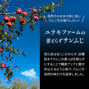 りんご 【 数量限定 】2月発送 雪完熟 自然 葉とらず 糖度13度以上 家庭用 サンふじ 約 5kg 20～23個【 弘前市産 青森りんご  果物類 林檎 リンゴ  】