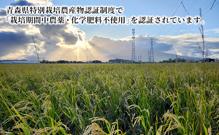 栽培期間中農薬化学肥料不使用 はれわたり 白米 2kg