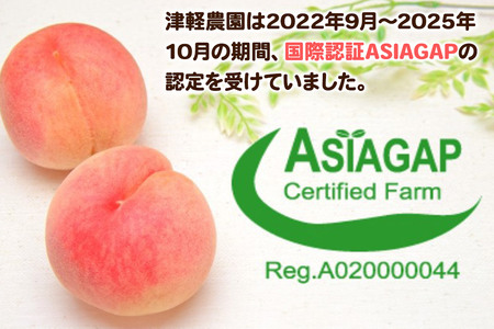 【26年9月発送】もも【2026年産 レア品種 さくら白桃】家庭用 約3kg 8～14玉程度 津軽農園 採れたて 農家直送