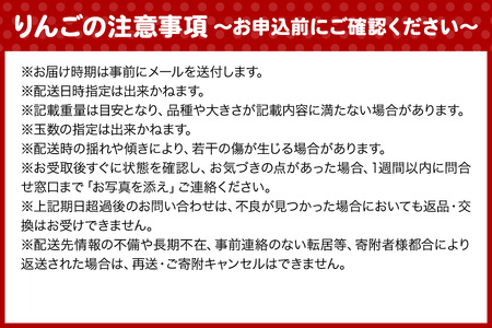 【25年12月発送】りんご 【 数量限定 】雪完熟 自然 葉とらず 蜜入り 糖度13度以上 家庭用 サンふじ 約 5kg 18~23個