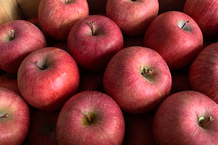 りんご【特選】サンふじ 約3kg  弘前市産 青森りんご