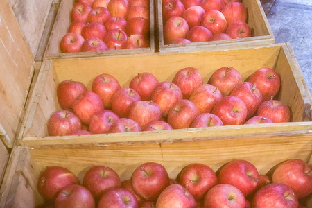 りんご【特選】サンふじ 約3kg  弘前市産 青森りんご