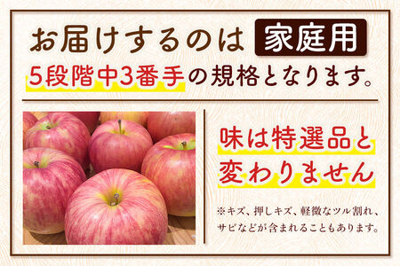 りんご 【糖度13度以上】サンふじ【家庭用】約10kg 26～40玉程度 津軽農園