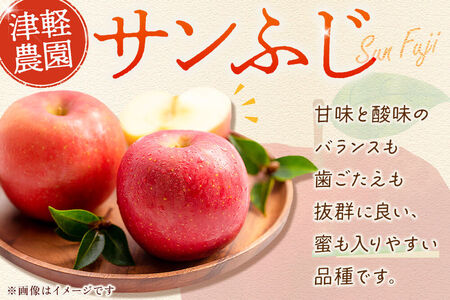 りんご 【糖度13度以上】サンふじ【家庭用】約10kg 26～40玉程度 津軽農園