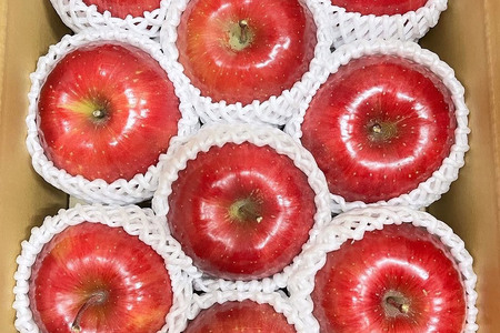 りんご 權之丞 サンふじ 家庭用 約3kg【弘前市産・青森りんご】