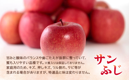 2月発送【糖度13度以上 サンふじ】家庭用 約3kg 8～12玉程度 ASIAGAP認証農場 津軽農園 【弘前市産・青森りんご】 