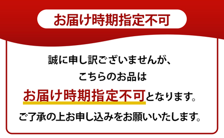 【8月中旬より順次発送】青森県弘前市産 嶽きみ (だけきみ) 2Lサイズ 10本 【 岩木山麓嶽高原産 とうもろこし 】