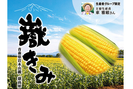 【レビューキャンペーン】【25年8月～発送】とうもろこし 青森県弘前市産 嶽きみ（だけきみ）2Lサイズ 10本 【岩木山麓嶽高原産 とうもろこし】