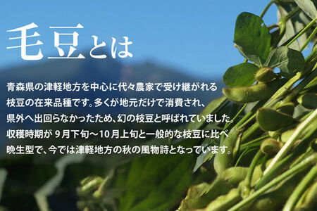【26年9月下旬～発送】【朝採り直送 令和8年度】青森毛豆 約1.2kg 青森・津軽の秋を味わう栗のような濃厚なうまみの枝豆【先行受付】 産地直送 おつまみ 新鮮 えだまめ 野菜 予約