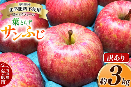 りんご 葉とらず サンふじ 約3kg カワムラファーム 訳あり 青森 果物 フルーツ 林檎 リンゴ くだもの 不揃い 規格外