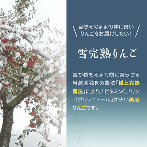 りんご 【 数量限定 】1～2月配送 雪完熟りんご 糖度13度以上 家庭用 葉とらずサンふじ ・ 完熟 王林 11個入り【 弘前市産 青森りんご  果物類 林檎 リンゴ  】