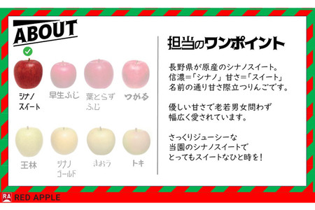 りんご【訳あり】家庭用 シナノスイート 約2.5kg