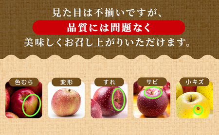 りんご 【1～2月発送】【訳あり】家庭用 ぐんま名月 約3kg 糖度13度以上（糖度証明書付き）【 弘前市産 青森りんご 】