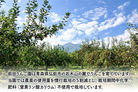 飲み比べ 無添加 ストレート りんごジュース 180ｍl × 12本セット 前田りんご園 リンゴ 果汁 林檎 飲料 アップル 果物 フルーツ 青森 飲み物 ドリンク