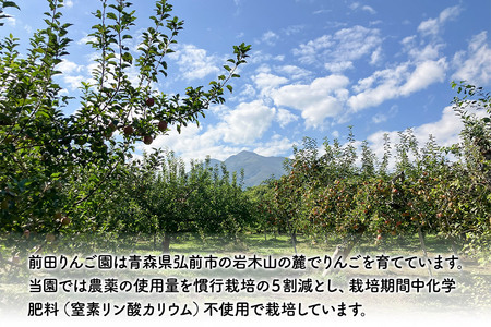 りんごジャム 2品種セット 紅玉ジャム はつ恋ぐりんジャム 前田りんご園