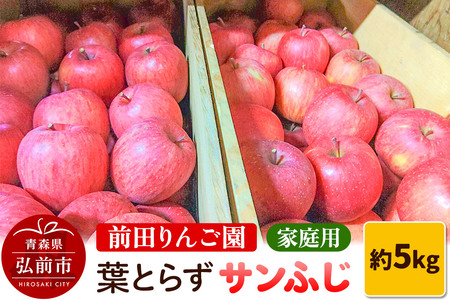 りんご【先行受付】家庭用 葉とらず サンふじ 約 5kg (16～20玉程度) 前田りんご園