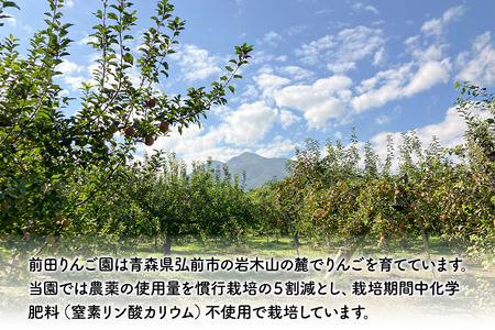 りんご【先行受付】家庭用 葉とらず サンふじ 約 5kg (16～20玉程度) 前田りんご園