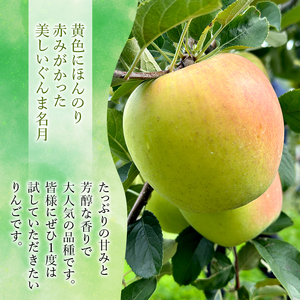 りんご 【 1月発送 】 糖度13度以上 ぐんま名月 おもてなし用 約 5kg 【 弘前市産 青森りんご 】