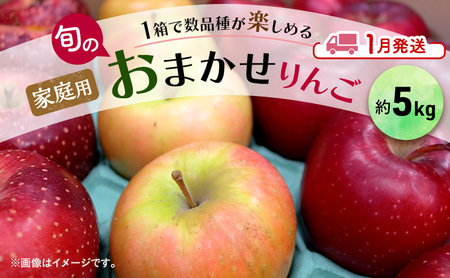 りんご 【 1月発送 】 家庭用 旬のりんご 品種おまかせ 約 5kg 2品種～４品種【 弘前市産 青森りんご 】