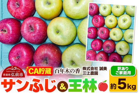 【26年4月発送】りんご 【CA貯蔵】【訳あり】家庭用 百年木の香 三上農園 サンふじ&王林 約5kg (14~20玉程度)【先行受付】 青森 果物 フルーツ 林檎 リンゴ くだもの 不揃い 規格外 予約
