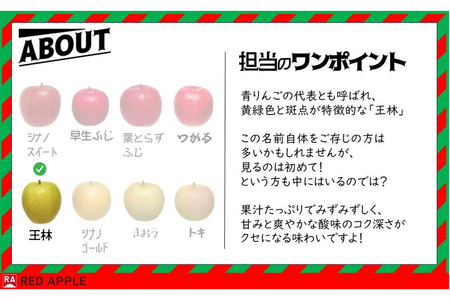 りんご 13度糖度保証【訳あり】家庭用 王林 約5kg