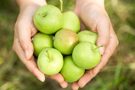 未来を育てるりんごのお酒 テキカカシードル（ライチ） 330ml×6本 お酒 青森 弘前 林檎 リンゴ