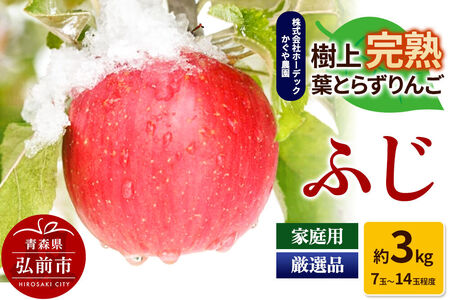 りんご ふじ 約3kg(7玉~14玉程度)樹上完熟葉とらず【家庭用】厳選品 青森県産 りんご