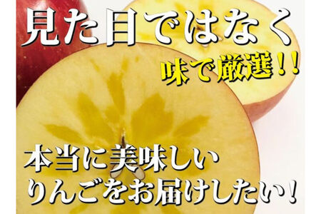 りんご ふじ 約3kg(7玉~14玉程度)樹上完熟葉とらず【家庭用】厳選品 青森県産 りんご