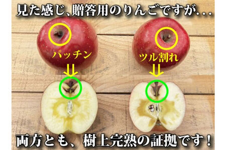 りんご ふじ 約3kg(7玉~14玉程度)樹上完熟葉とらず【家庭用】厳選品 青森県産 りんご