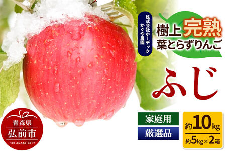 りんご ふじ 約10kg（約5kg×2箱） 樹上完熟葉とらず【家庭用】厳選品 青森県産 りんご