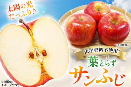 りんご 葉とらず サンふじ 約3kg カワムラファーム 贈答用 青森 果物 フルーツ 林檎 リンゴ くだもの