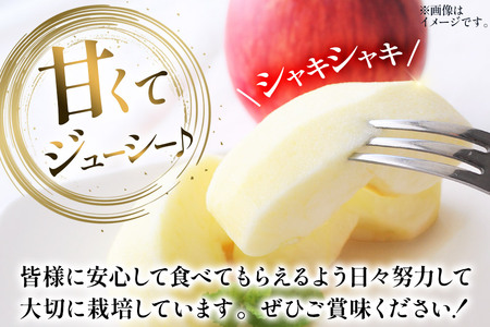 りんご 葉とらず サンふじ 約6kg カワムラファーム 贈答用 青森 果物 フルーツ 林檎 リンゴ くだもの